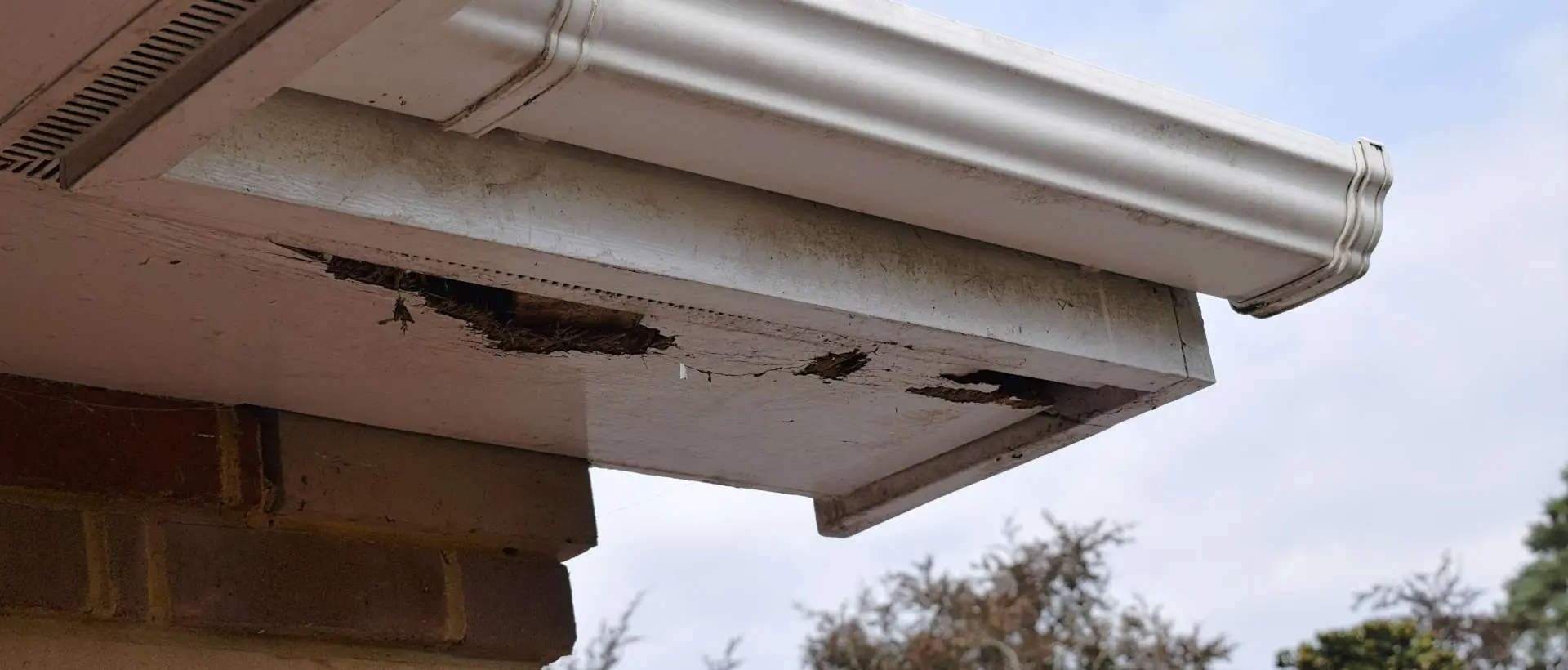 Fascia Repair & Replacement